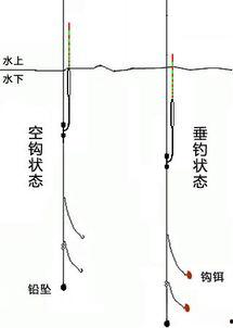 爆料鲢鳙钓法视频教程,视频教程深度解析  第2张