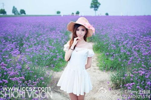 3d豪情手机在线观看,沉浸式观影体验,带你领略视觉盛宴 第2张 3d豪情手机在线观看,沉浸式观影体验,带你领略视觉盛宴 第2张