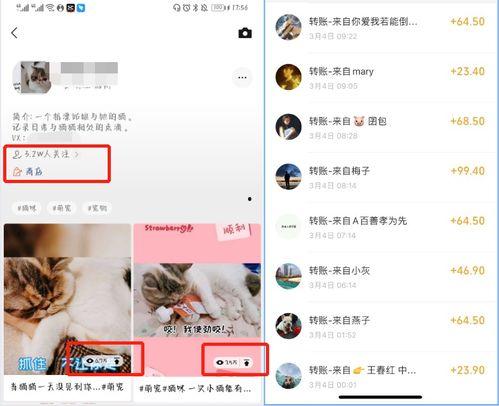 卖货真实爆料视频,揭秘带货主播的“带货术”  第1张