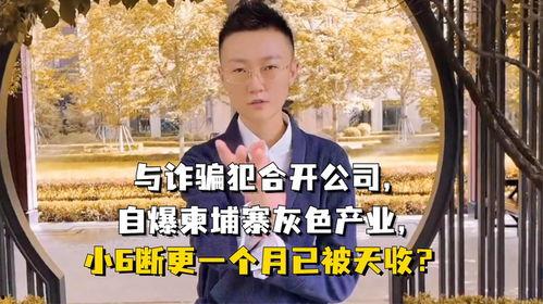 柬埔寨爆料博主诈骗视频,揭秘网络诈骗背后的真相 第2张 柬埔寨爆料博主诈骗视频,揭秘网络诈骗背后的真相 第2张